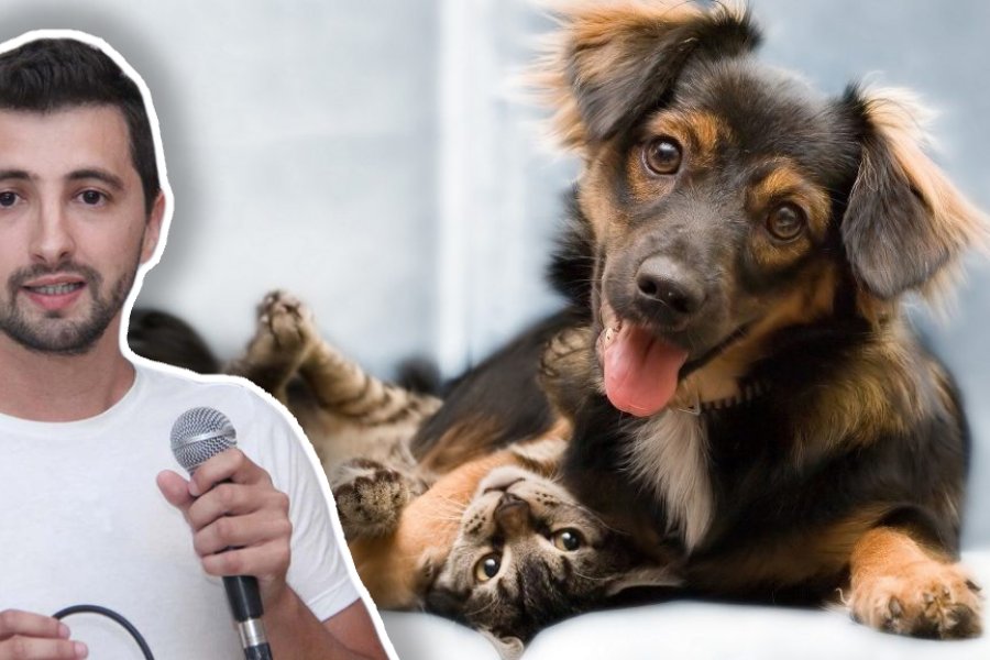 Rafaela cuenta con un Centro de Atención Primaria para perros y gatos: "Cada persona que entra con un perro o gato es responsable de ese animal"