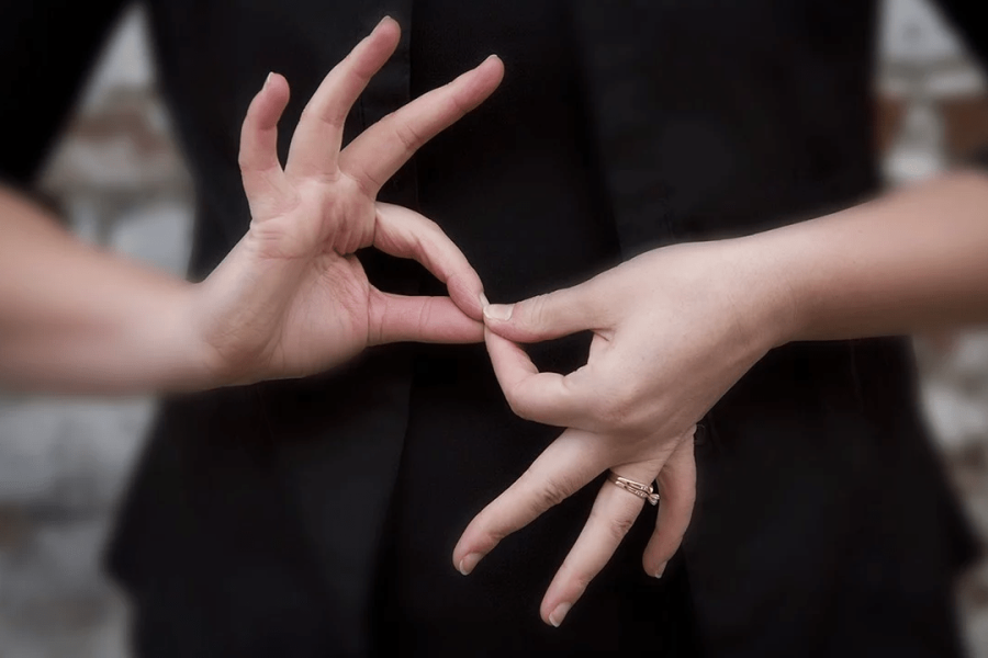 A new edition of the Argentine Sign Language workshop has begun